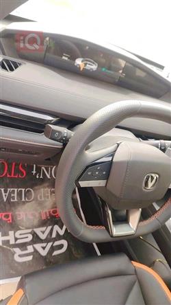 شانجان يوني في